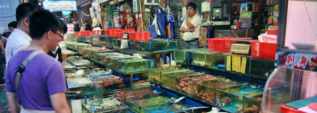 台山海鲜采购